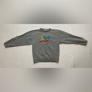 Vintage 2000 Walt Disney World sweatshirt